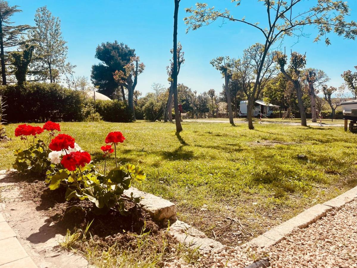 Camping Torre Mucchia Ortona Luaran gambar